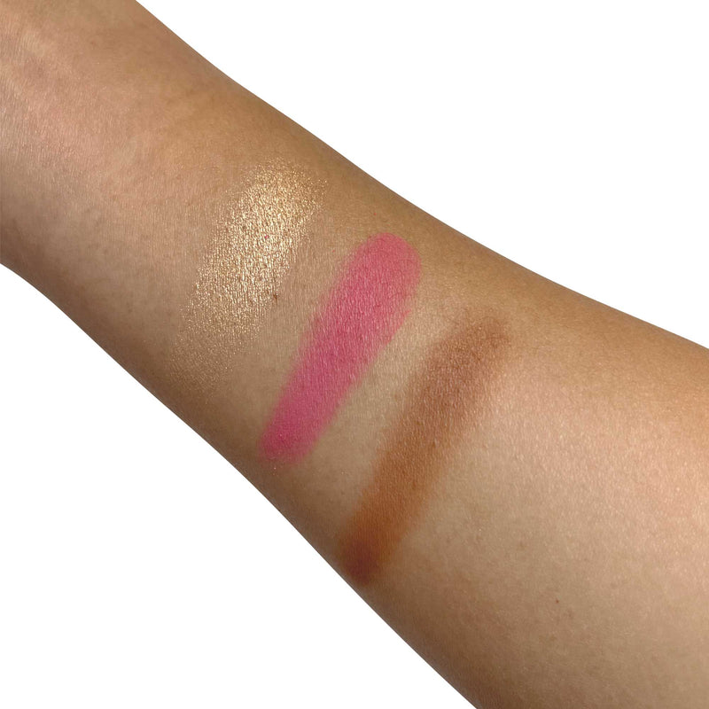 Professional Cheek Makeup Palette - swatches